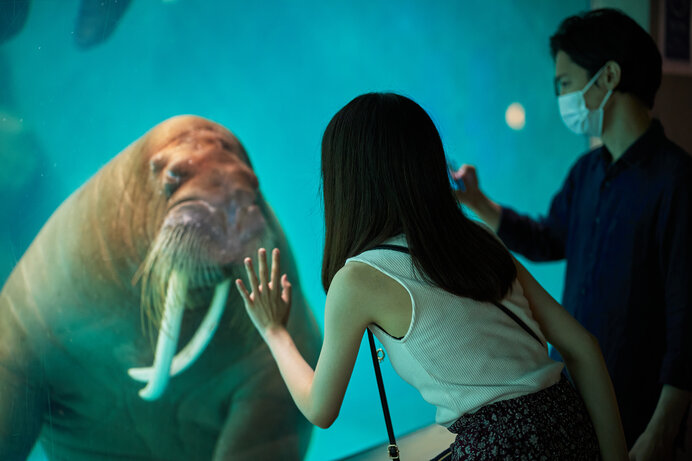 海獣さんの癒しはいかが♪海が愛おしくなる水族館【西日本編】