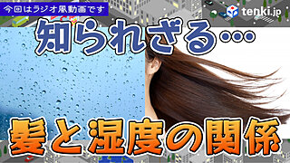 【動画あり】知られざる湿度と髪の意外な関係！湿気に負けない髪のために今日からできること