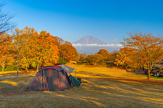 キャンプで秋を感じよう！紅葉と星空が美しいキャンプ場【東海地方】