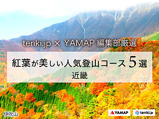 【tenki.jp×YAMAP】紅葉時期におすすめ 近畿地方の人気登山コース5選