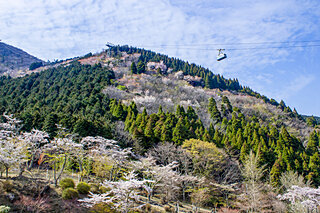 春の登山は桜と新緑を楽しもう！おすすめの登山ルート4選【九州編】