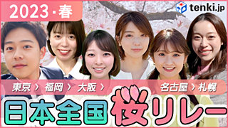 【動画あり】桜が見られる場所はどこ？全国の桜の今をお届け！日本全国桜リレー