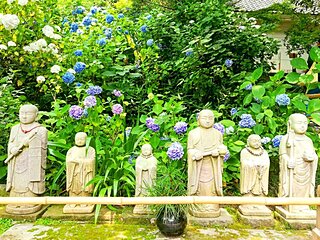梅雨を彩る紫陽花に会いに鎌倉へ　おすすめスポットをご紹介