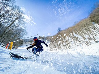 〈道東のスキー場〉北海道らしい大自然でパウダースノー