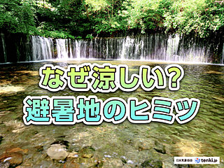 なぜ涼しい？避暑地のヒミツを気象で読み解く！自由研究にもぴったり！　関東近郊お出かけ5選